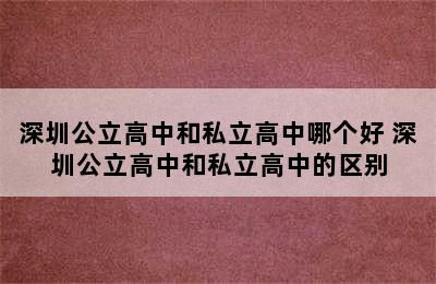 深圳公立高中和私立高中哪个好 深圳公立高中和私立高中的区别